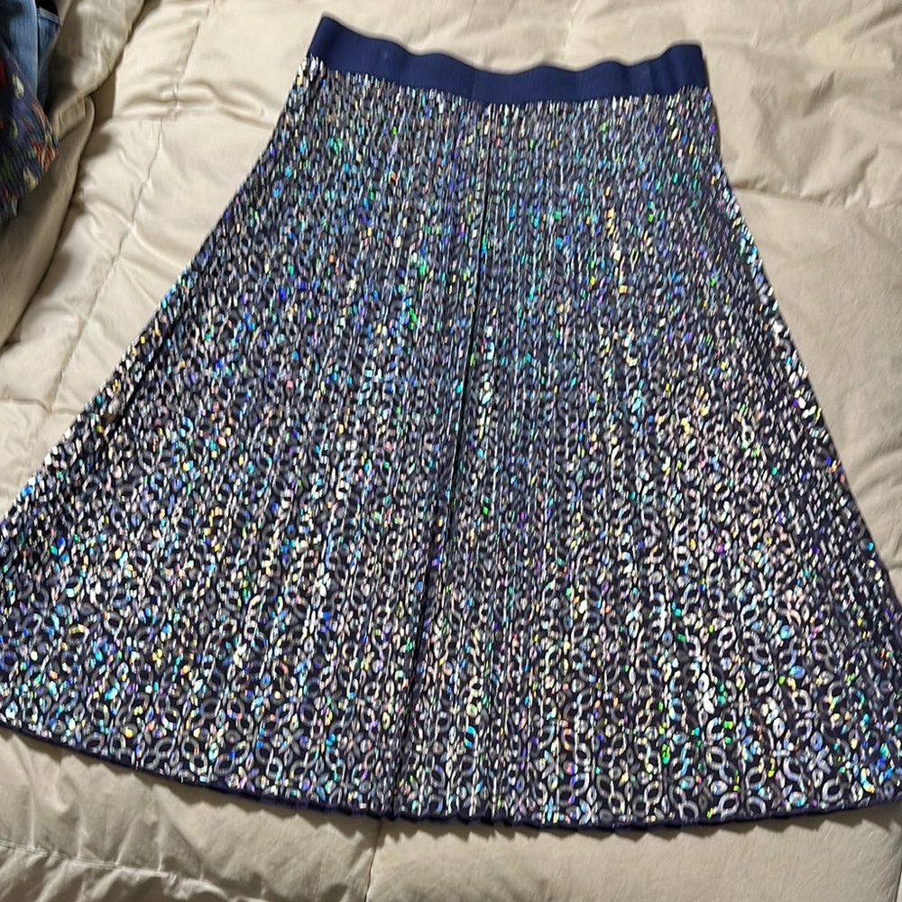 Blue and Silver Pleated Skirt